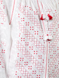 detailed embroidery contrast blouse