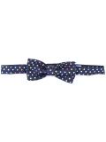 polka dot bow tie 