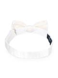 pre-tied bow tie