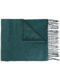 fringed scarf