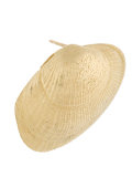 clam shell earrings