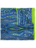 fringed printed scarf