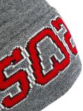 varsity logo beanie