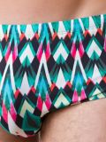 printed swim trunks