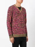 v-neck leopard sweatshirt