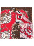 printed scarf
