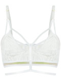 lace bra