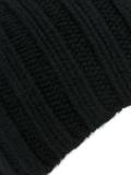 ribbed beanie