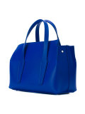 Duvalia tote