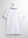 经典polo衫