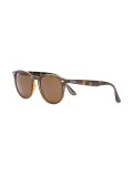 oval frame sunglasses