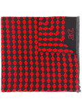 printed silk scarf 