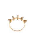 circuit ring
