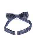 dotted bow tie