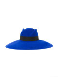 wide brim hat