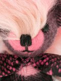 bear keychain