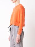 cropped sweatshirt
