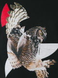 owl print hoodie