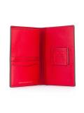 dinosaur print passport case