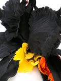 花卉发带