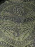 dollar print scarf