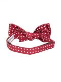 polka dot bow tie