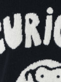 Curious monkey jumper 