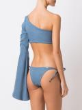 loong sleeve bikini set