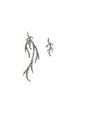 branch studded earrings