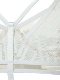 lace bra