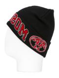 varsity logo beanie