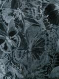 butterfly print jacket