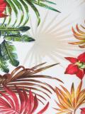 printed swim trunks