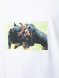 Columbian-fit Rottweiler print T-shirt