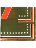 star print scarf