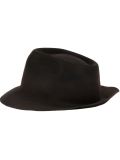 trilby hat