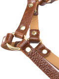 5" harness belt