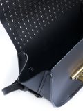 'Eartha micro accordion'斜挎包