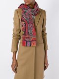 paisley print scarf
