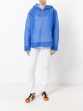 semi-sheer hoodie