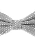 dotted bow tie