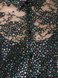 lace glitter detail top