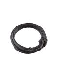 forked ring