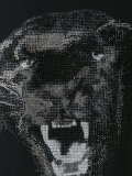 tiger print T-shirt