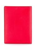 dinosaur print passport case