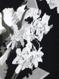 花卉印花流苏围巾
