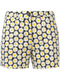daisies print shorts