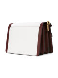 Trunk shoulder bag