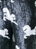 'Molasses'直筒长裤