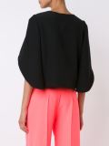 cape sleeves top